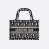 Dior Mini Book Tote