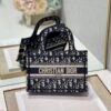 Dior Mini Book Tote
