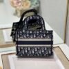 Dior Mini Book Tote