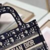 Dior Mini Book Tote