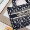 Dior Mini Book Tote