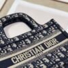 Dior Mini Book Tote