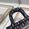 Dior Mini Book Tote
