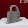 Mini Lady Dior Bag