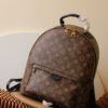 Louis Vuitton Palm Springs Backpack M44874/M44871