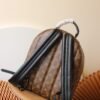 Louis Vuitton Palm Springs Backpack M44874/M44871