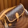 A Louis Vuitton Diane satchel M45985