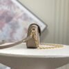 LOUIS VUITTON Wallet On Chain Ivy M82211