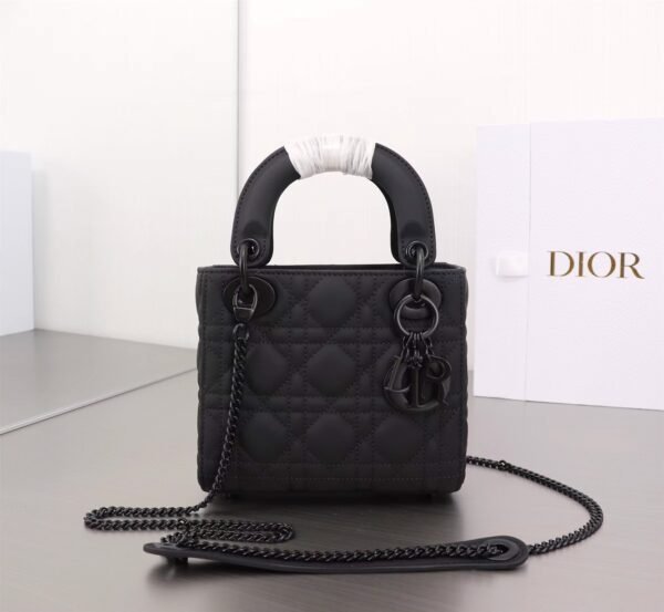 Mini Lady Dior Bag