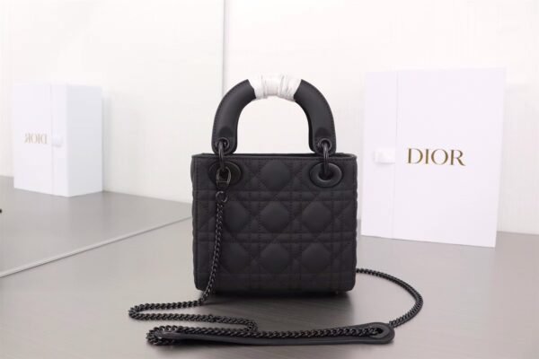 Mini Lady Dior Bag