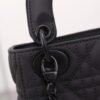 Mini Lady Dior Bag