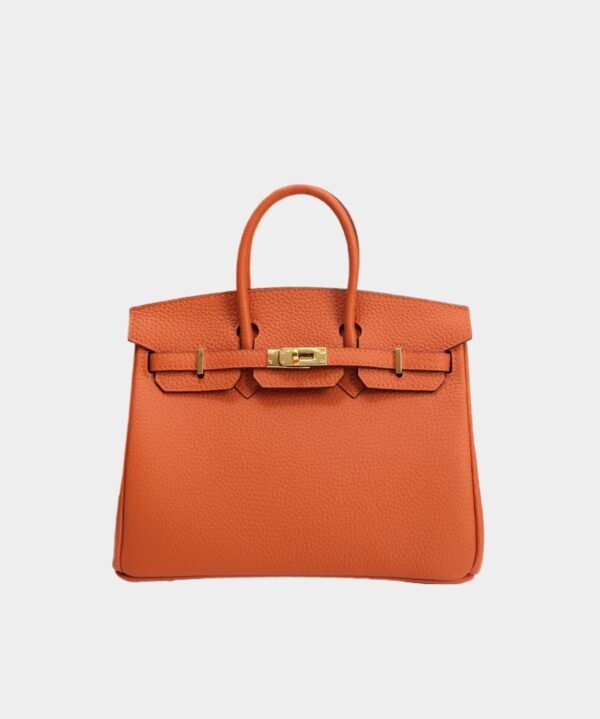 Hermès Birkin bag 30 Gold buckle