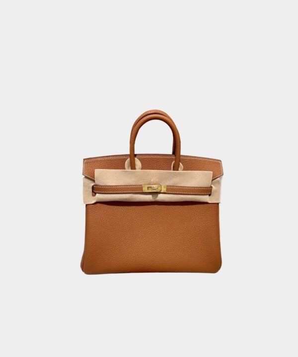 Hermès Birkin bag 25 Gold buckle