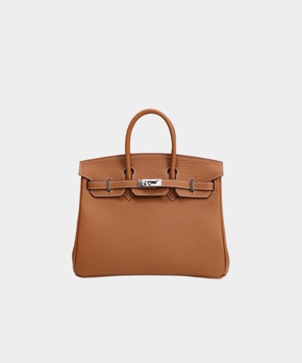 Hermès Birkin bag 25 Silver buckle