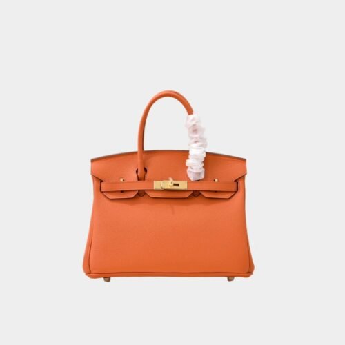 Hermès Birkin bag 25 Gold buckle
