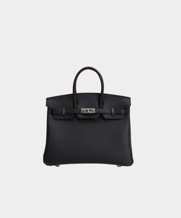 Hermès Birkin bag 25 Silver buckle