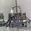Medium Lady D-Lite Bag