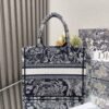 Small Dior Tote Bag Jouy print embroidery
