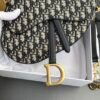Dior Saddle Bag with Strap
