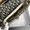 Dior Saddle Bag with Strap