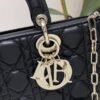 Dior Medium Lady D-Joy Bag Black