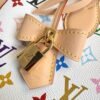 LV x TM OnTheGo MM M13079