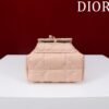 Dior Caro Nano Bucket Bag