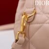 Dior Caro Nano Bucket Bag