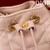 Dior Caro Nano Bucket Bag