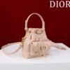 Dior Caro Nano Bucket Bag