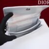 DIOR Lady Clutch Metallic Silver Cannage Crossbody Bag