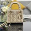DIOR Lady Mini Bag