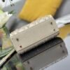 DIOR Lady Mini Bag