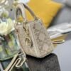 DIOR Lady Mini Bag