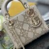 DIOR Lady Mini Bag