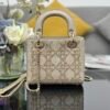 DIOR Lady Mini Bag