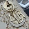 DIOR Lady Mini Bag