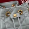 Dior Caro Nano Bucket Bag