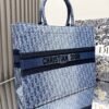 Large Dior Book Tote Denim blue