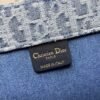 Large Dior Book Tote Denim blue