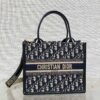 Small Dior Book Tote