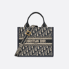 Small Dior Book Tote