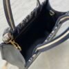 Small Dior Book Tote