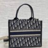 Small Dior Book Tote