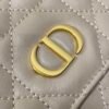 Medium Dior Caro Backpack