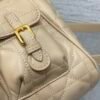 Medium Dior Caro Backpack