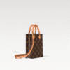 LOUIS VUITTON Petit Sac Plat M81295