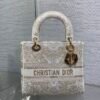 Dior Medium Lady D-Lite Bag