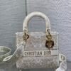 Dior Medium Lady D-Lite Bag