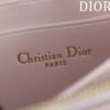 Dior Miss Caro Mini Bag Blush Pink